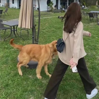 重任在肩 第一季